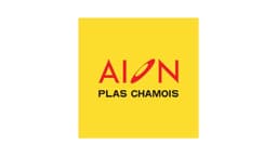 Aion Indonesia Logo Resmi Aion Indonesia Indonesia